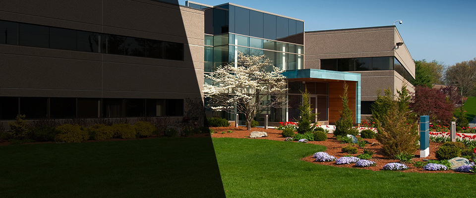 Elysburg Landscapers