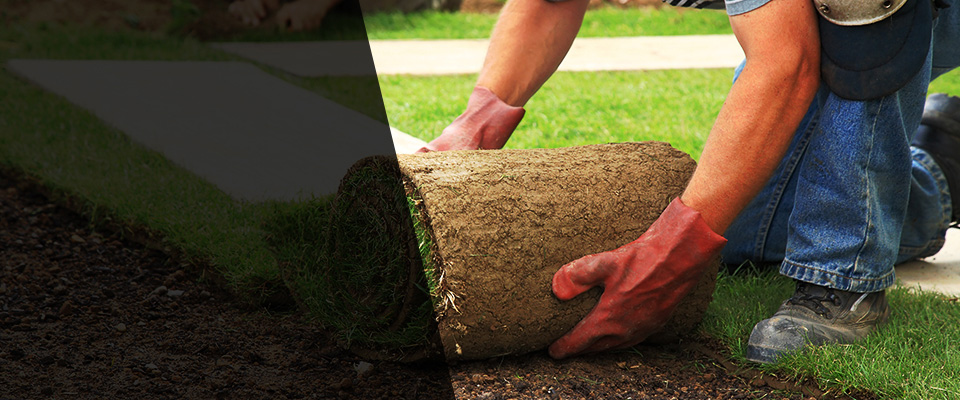 Elysburg Landscapers
